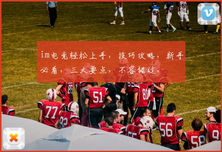 im电竞轻松上手，技巧攻略，新手必看，三大要点，不容错过，